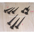 HAND FORGED IRON ROSE HEAD NAILS